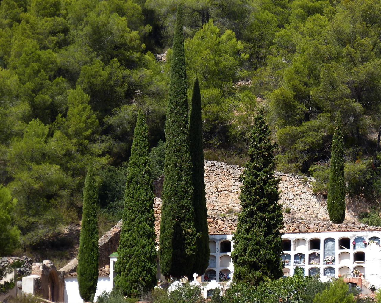 d&eacute;couvrez comment identifier et exploiter une niche de march&eacute; rentable pour maximiser vos profits et assurer la croissance de votre entreprise.