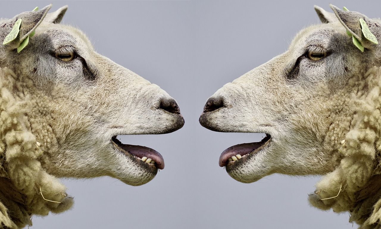 Maîtriser la communication assertive pour améliorer vos relations découvrez comment la communication assertive permet d'exprimer vos idées et besoins avec clarté et confiance, tout en respectant ceux des autres.