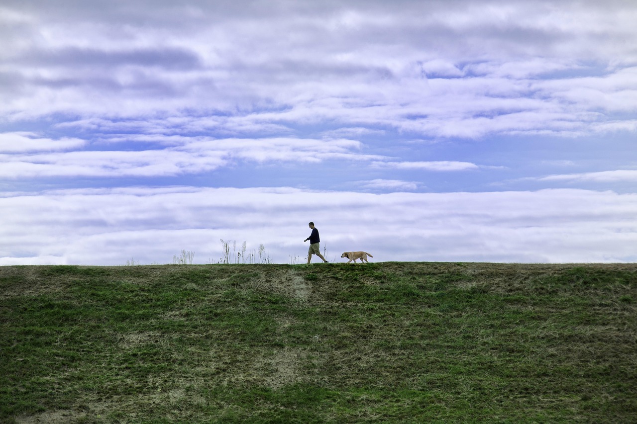 d&eacute;couvrez le leadership naturel : inspirez et guidez avec authenticit&eacute;, confiance et bienveillance pour un impact durable.